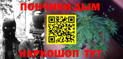 сатива Краснодар