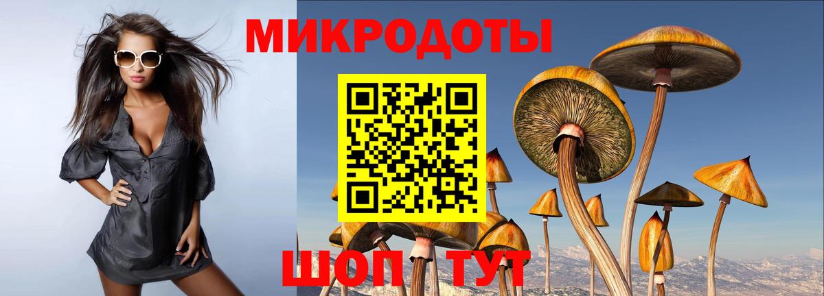 Кингисепп  Псилоцибиновые грибы Psilocybine cubensis  наркошоп  Вход с VPN  Галлюциногенные грибы MAGIC MUSHROOMS 
